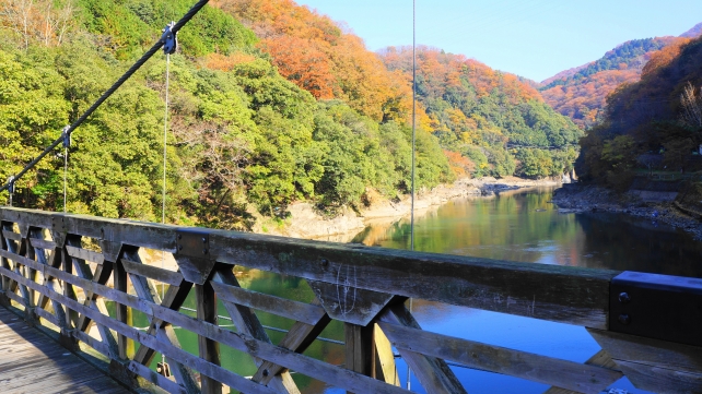 宇治川の天ヶ瀬橋と紅葉
