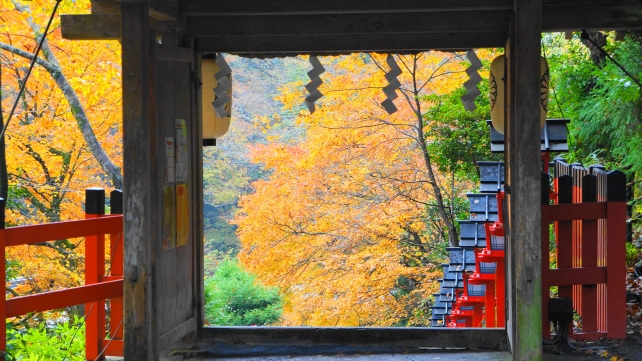 貴船神社の門と見ごろの紅葉