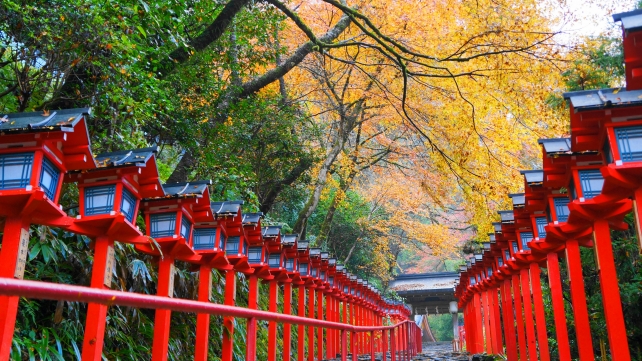 貴船神社の石段と燈籠と見ごろのしっとりした紅葉