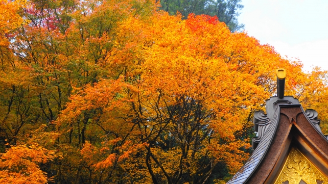 貴船神社の本宮と見ごろの雨に濡れた紅葉