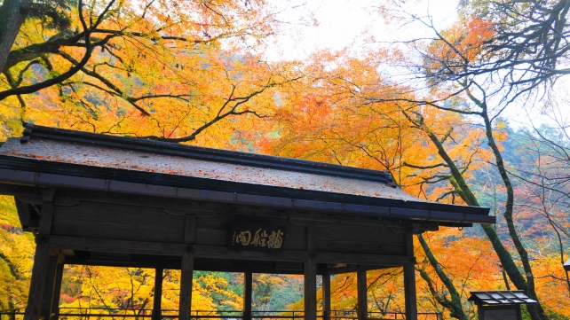 紅葉につつまれた京都貴船神社の龍船閣
