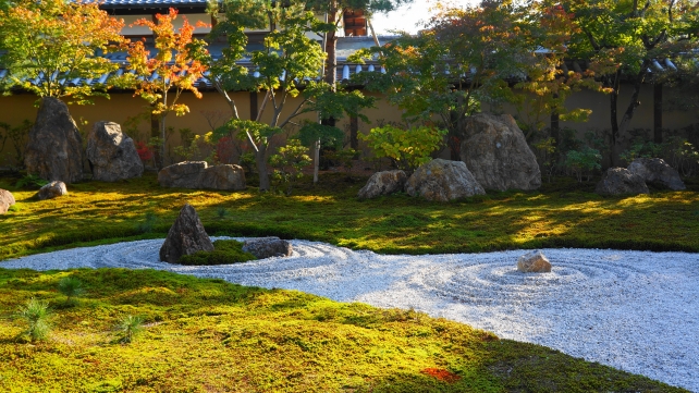 京都高台寺の方丈庭園の岩と美しい苔