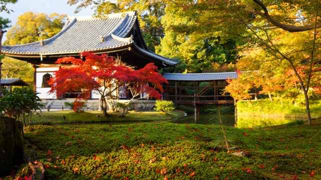 高台寺の開山堂と臥龍池と綺麗な苔と風情ある散りもみじ