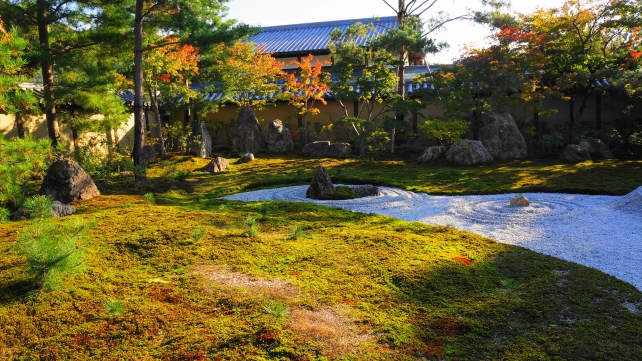 高台寺の方丈庭園の苔と岩