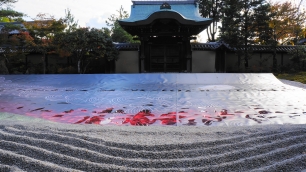 高台寺の方丈庭園の紅葉の演出