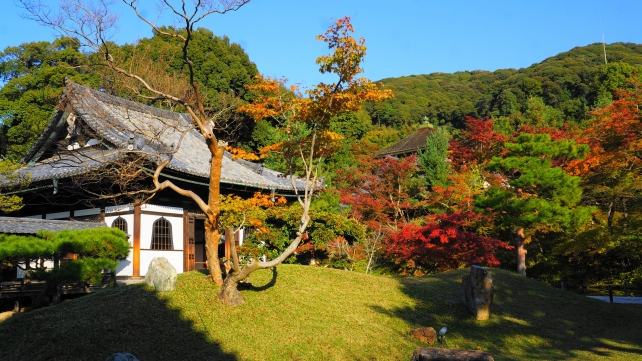高台寺の開山堂と霊屋と紅葉