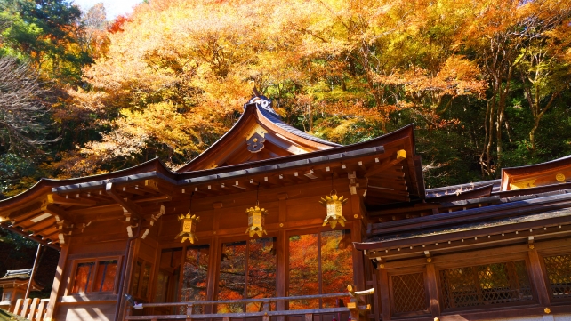 京都貴船神社の本宮のガラスに映る華やかな紅葉