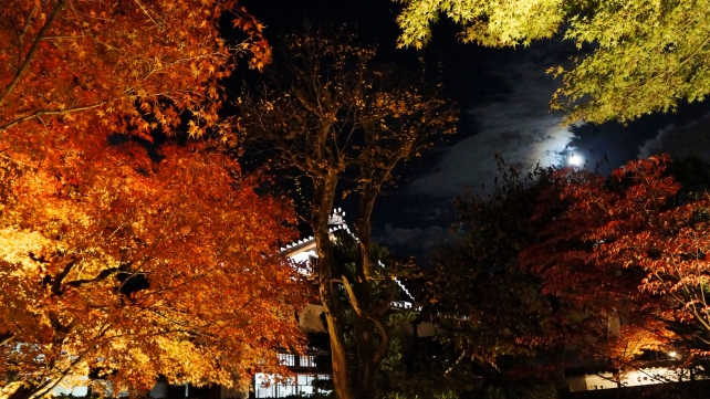高台寺塔頭の圓徳院の紅葉ライトアップと月