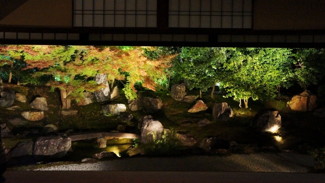 高台寺 圓徳院の北庭の美しい紅葉ライトアップ