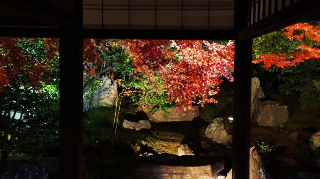 力強い岩と紅葉の京都高台寺 圓徳院ライトアップ