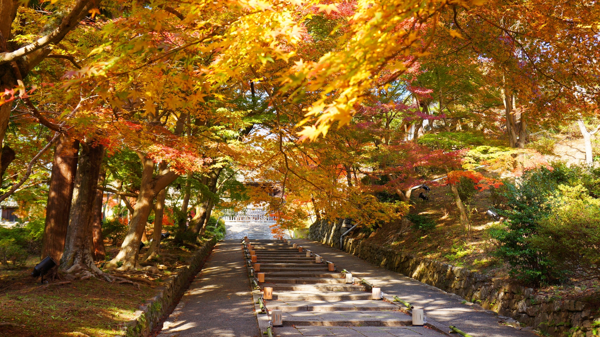 毘沙門堂の勅使門前の石段と華やかな紅葉