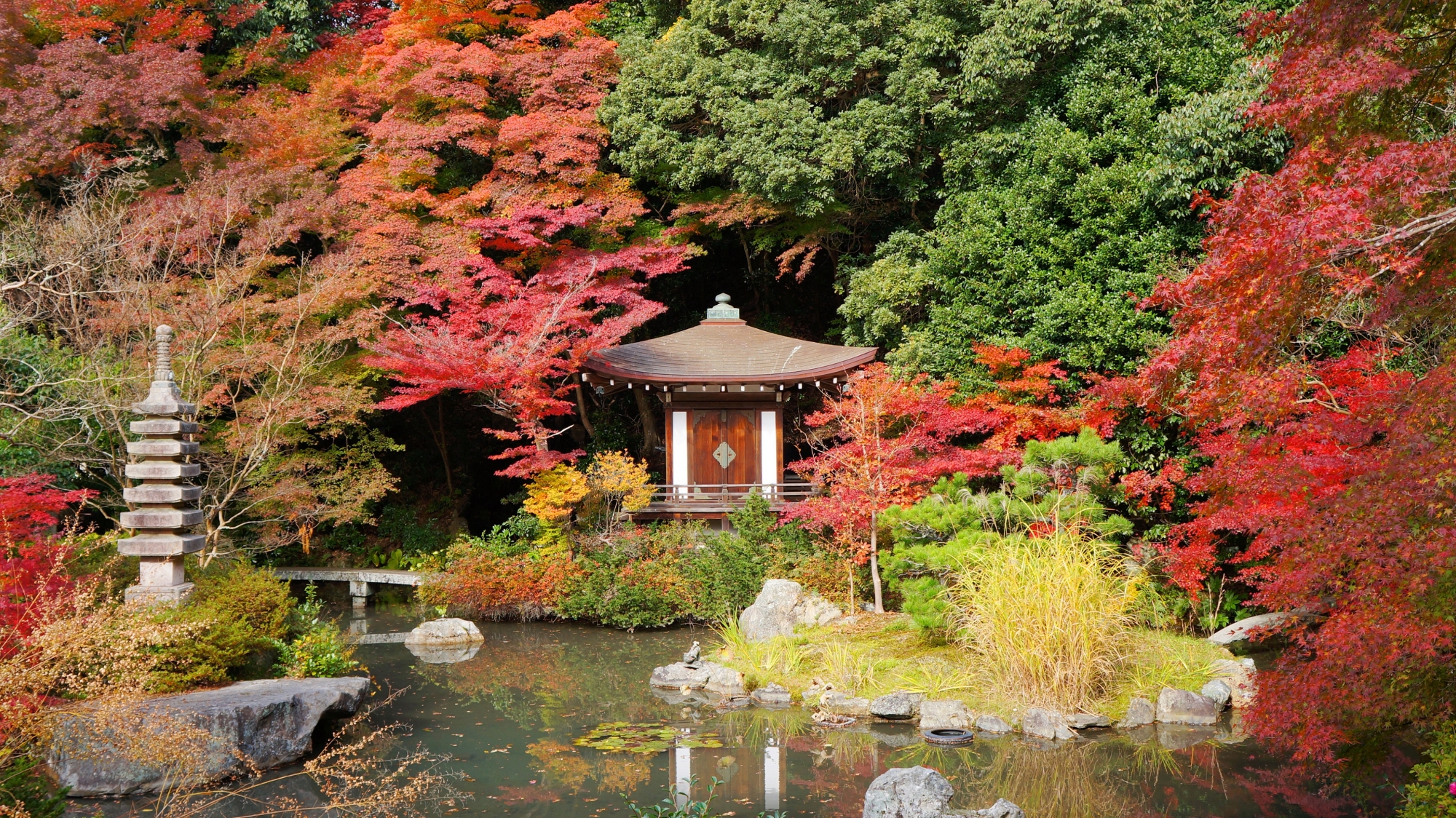 毘沙門堂の晩翠園の紅葉