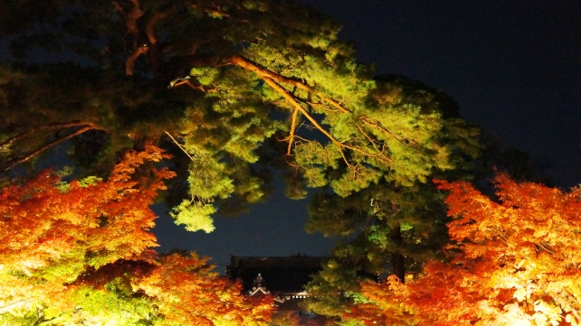 永観堂の総門から中門の紅葉と松のライトアップ