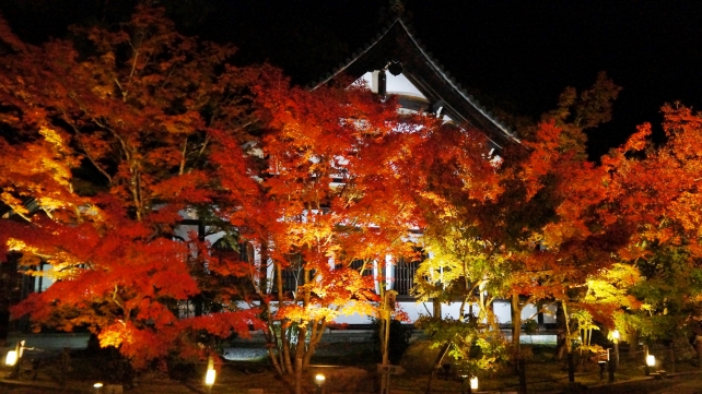 紅葉につつまれた京都永観堂の鶴寿台（庫裡）
