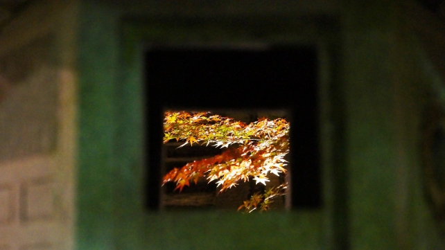 阿弥陀堂付近の灯篭と見ごろの紅葉のライトアップ