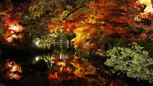 禅林寺（永観堂）の放生池の見ごろの紅葉のライトアップ