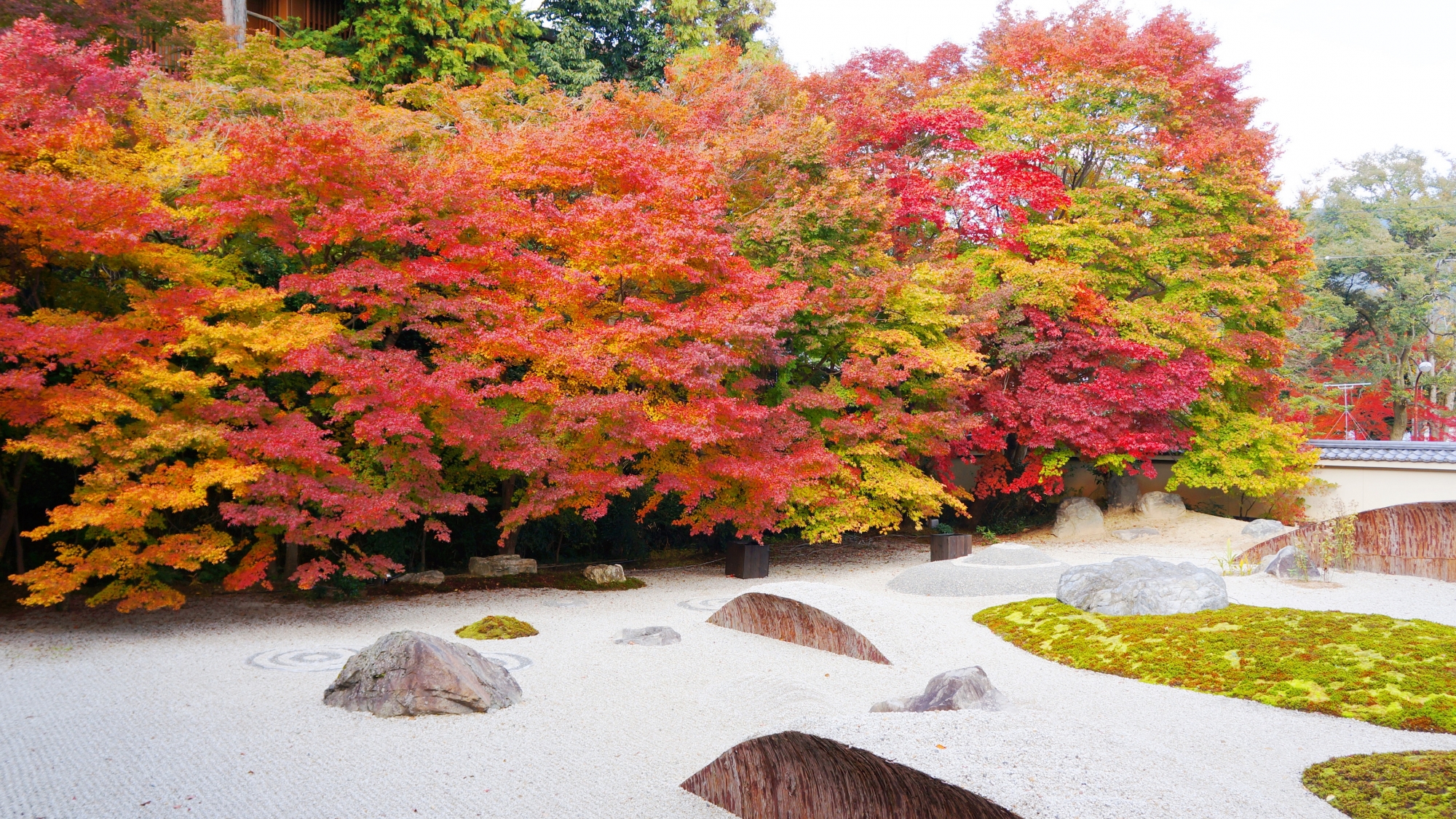 実相院の石庭の色とりどりの紅葉