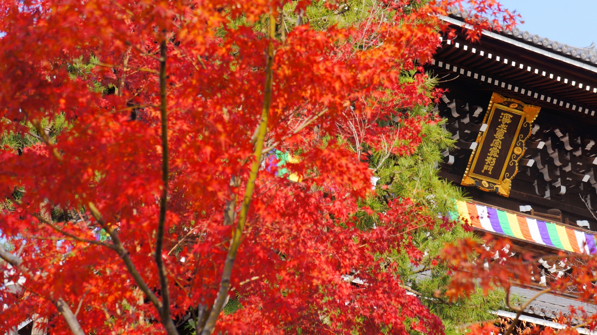 山門の扁額と真っ赤な紅葉