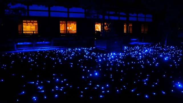 青蓮院の宸殿前庭園の青い光のライトアップ