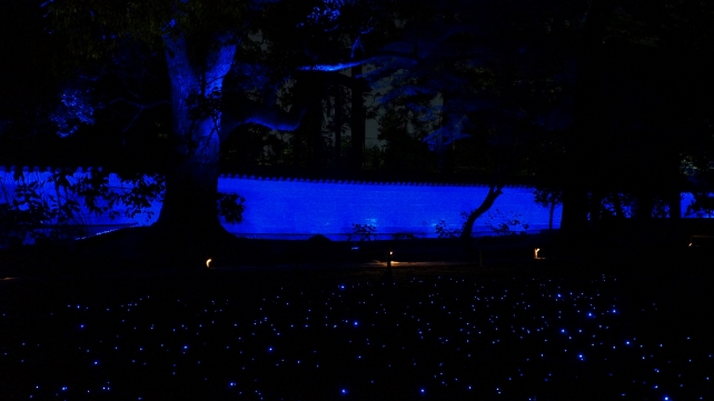 Kyoto Shorenin-Temple Garden ライトアップ 秋 宸殿前庭園