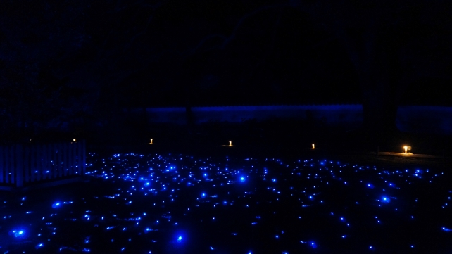 青蓮院門跡の宸殿前庭園の青い光の見事なライトアップ