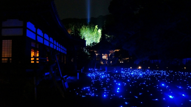 青蓮院の宸殿前庭園の秋の青い蛍のライトアップ