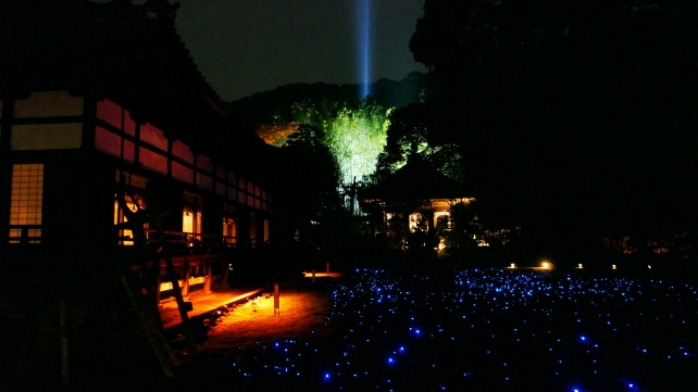 青蓮院の宸殿前庭園と竹林の青いライトアップ
