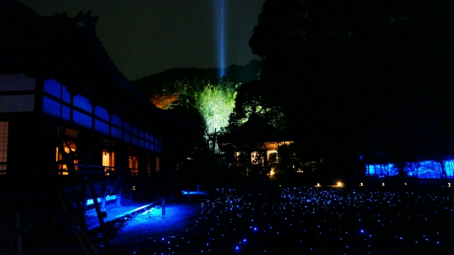青蓮院の宸殿前庭園の青の蛍のライトアップ
