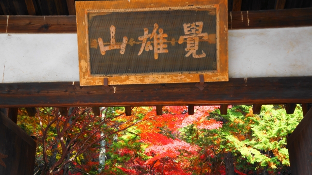 鹿王院の山門と紅葉