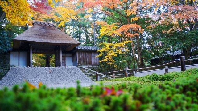京都法然院の山門と白砂壇と苔と見ごろの紅葉