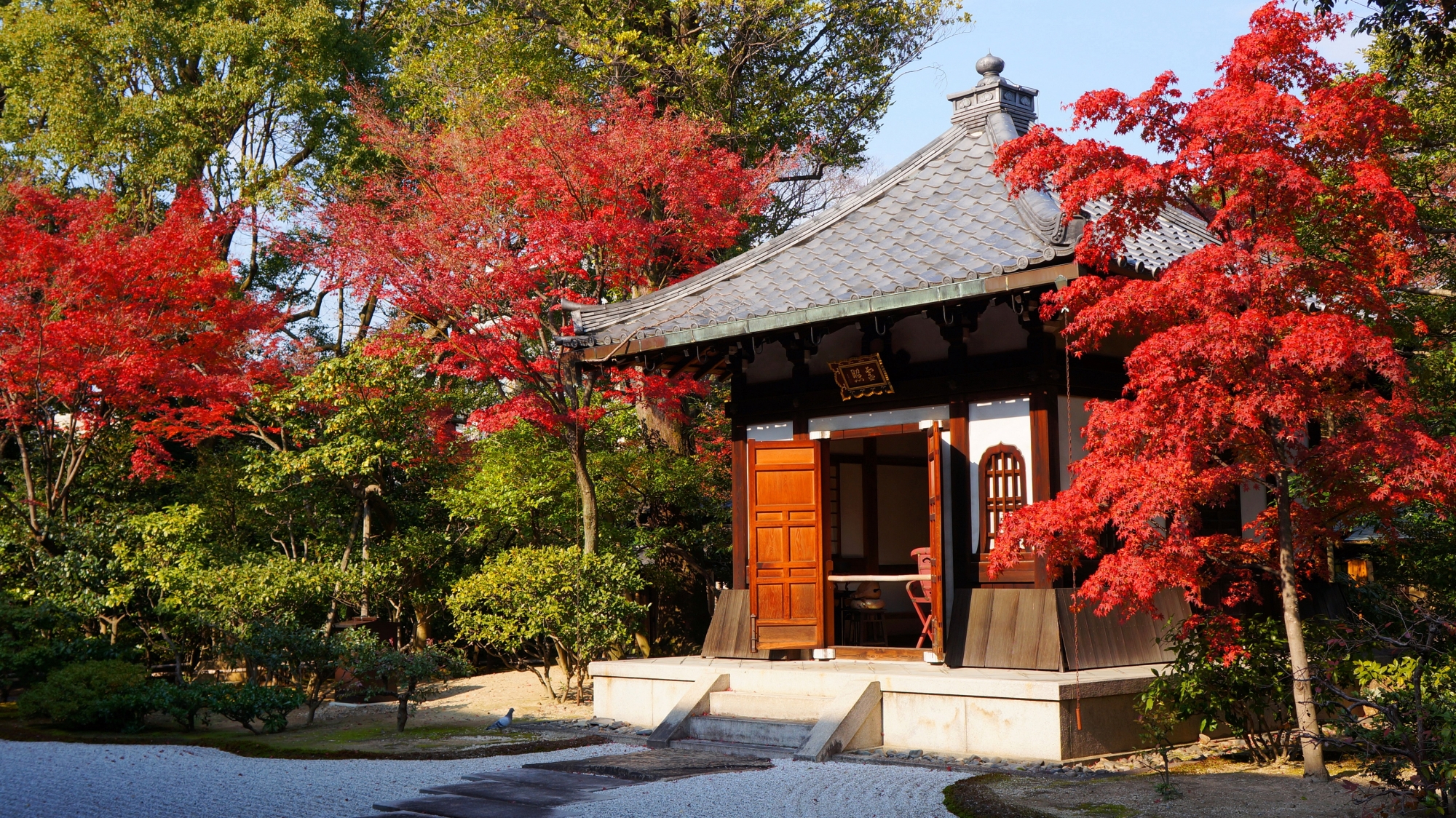 建仁寺の納骨堂の真っ赤に鮮やかに色づいた紅葉