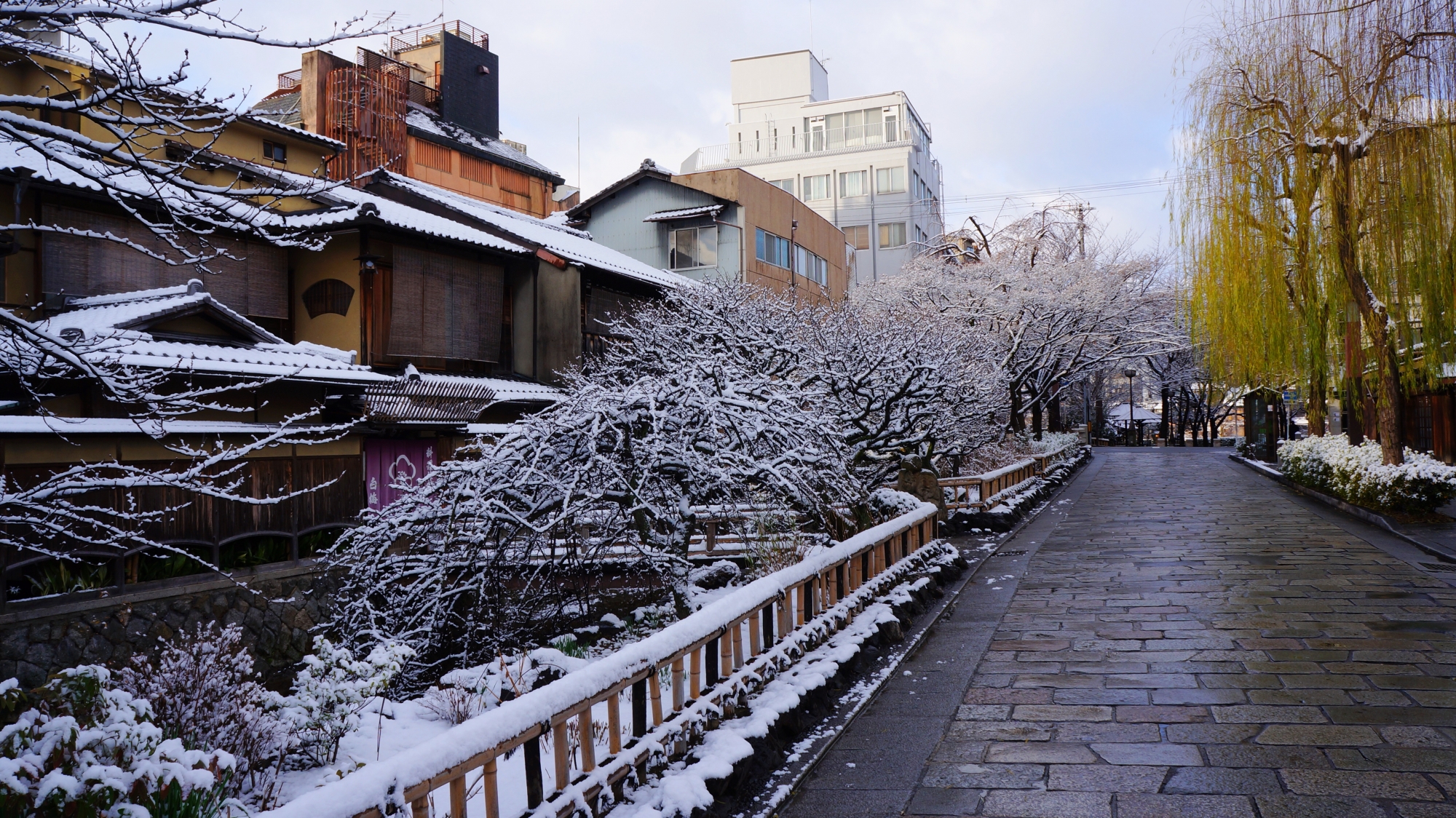 祇園白川の素晴らしい雪景色
