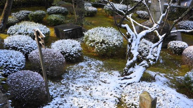 冬の知恩院の三門前の雪景色