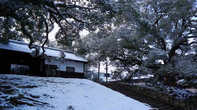 青蓮院門跡の冬の雪の長屋門と楠
