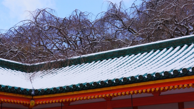 純白の雪につつまれた平安神宮の冬の白虎楼