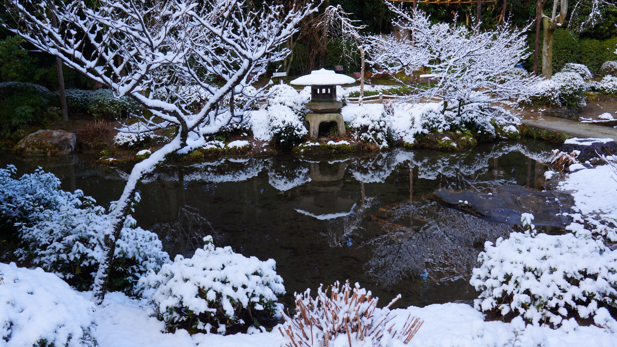 平安神宮の南神苑の雪景色
