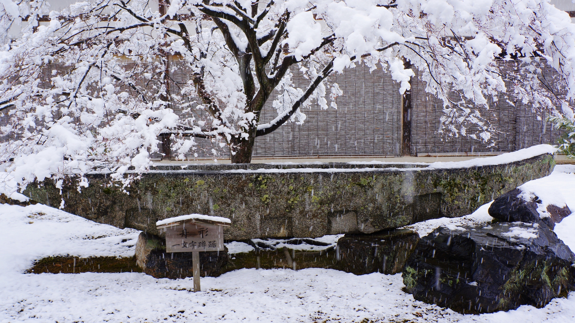 雪のふりそそぐ金閣寺の一文字蹲踞