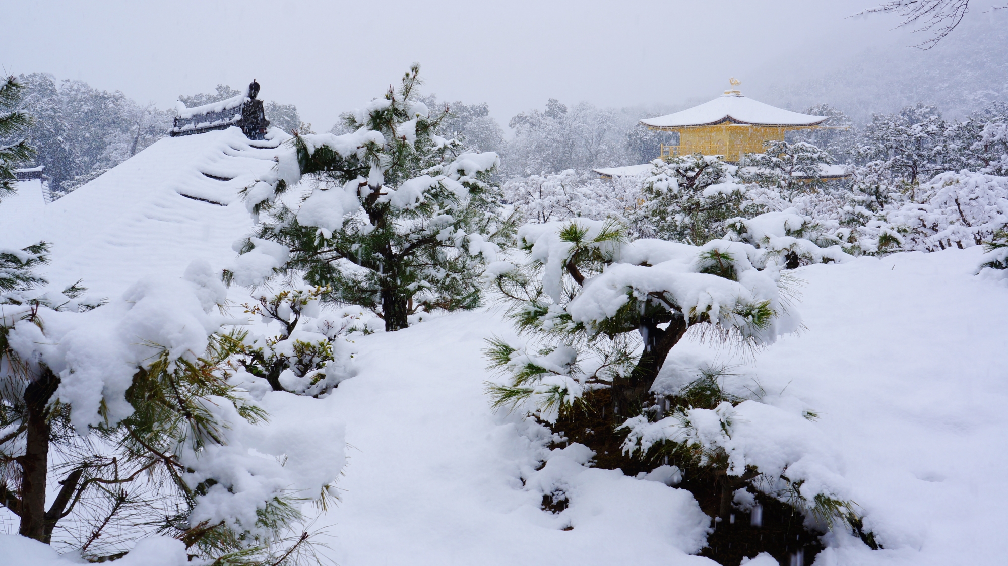 金閣寺の素晴らしい雪景色