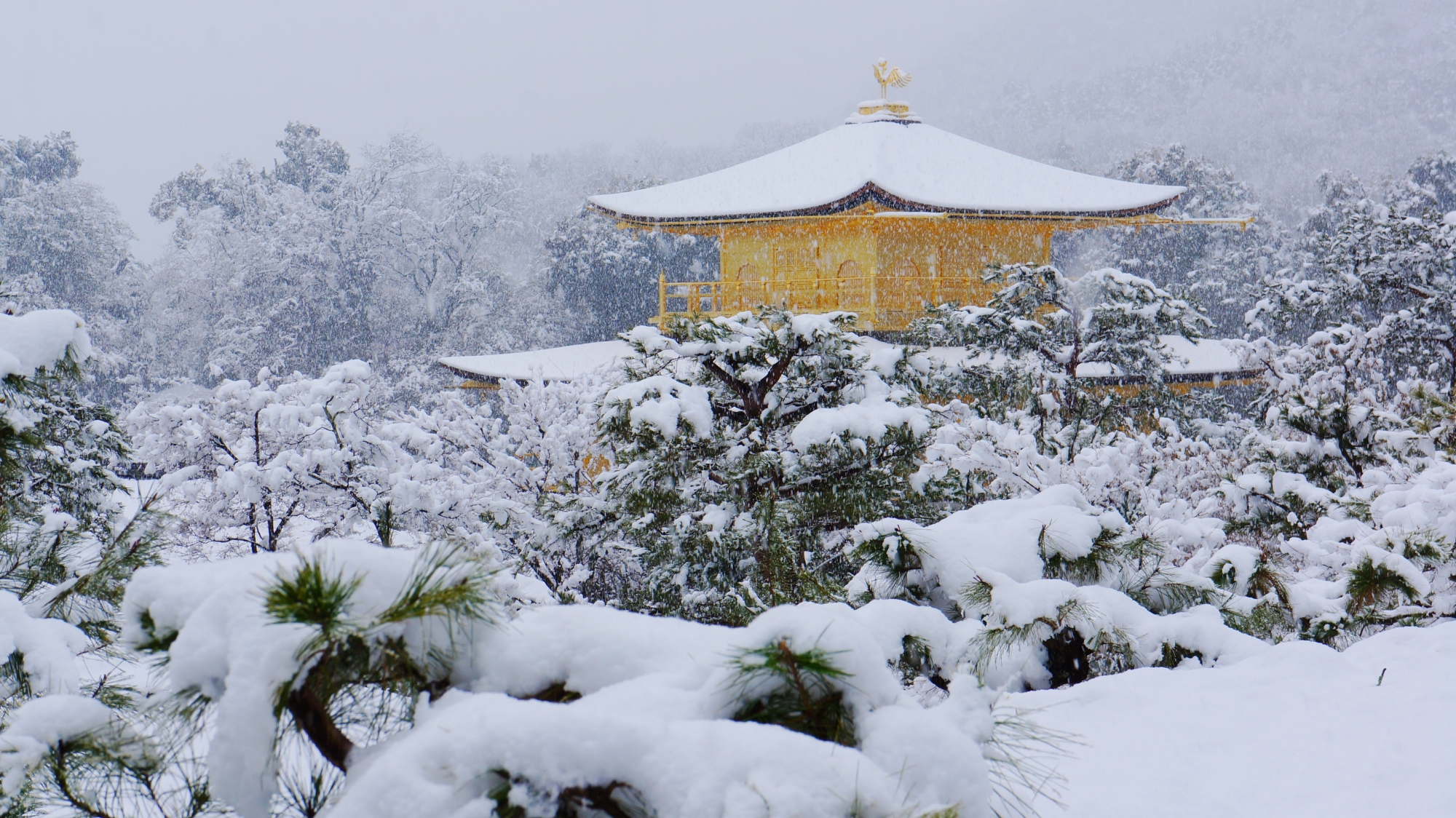 上から眺めた金閣寺の雪景色