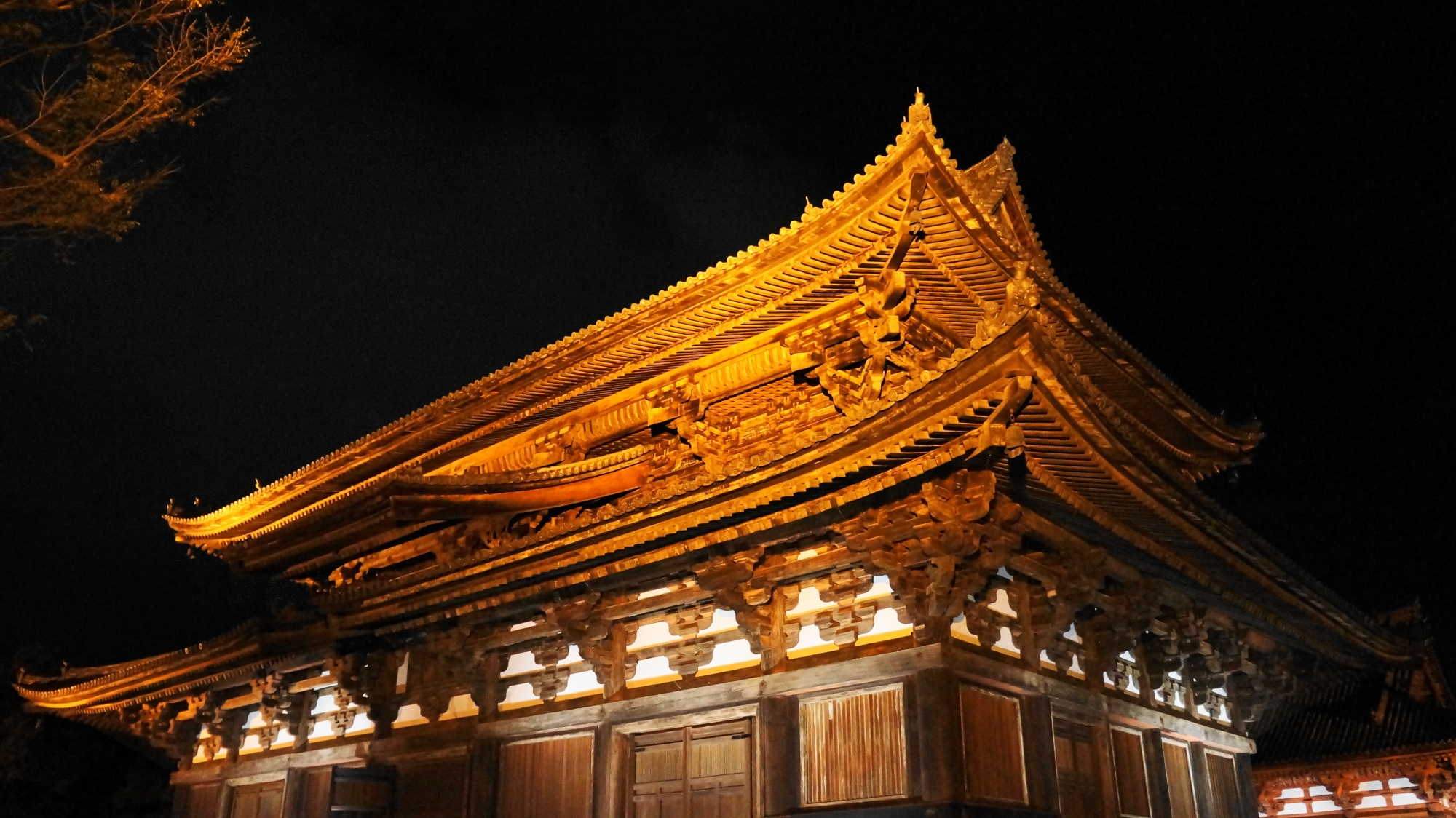 東寺の金堂のライトアップ