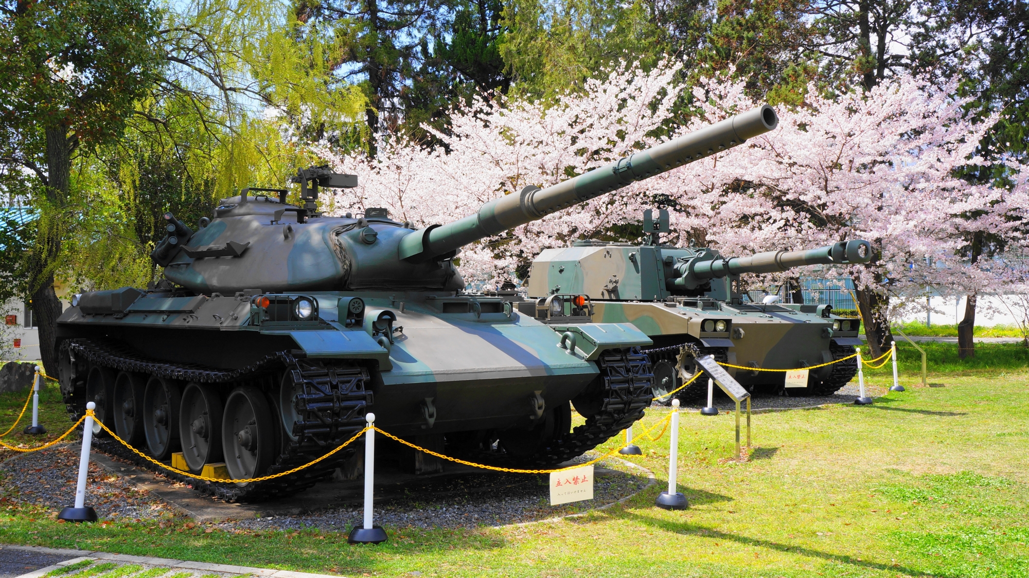 桜と戦車