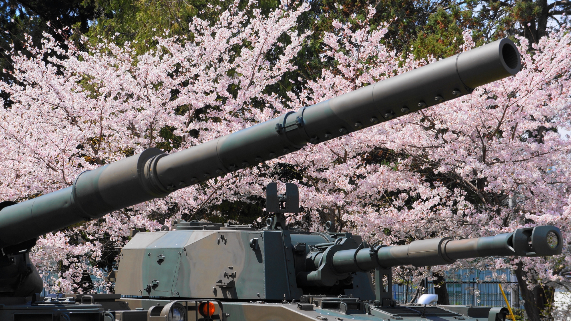 砲塔を彩る満開の桜