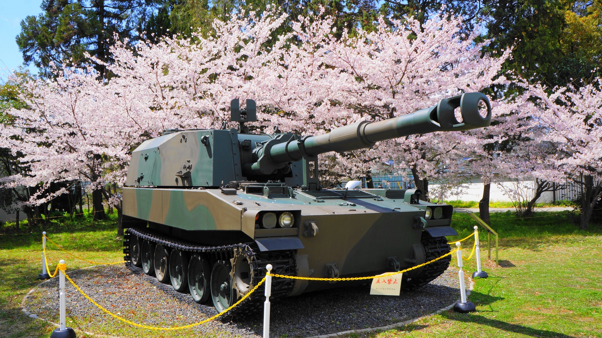 絵になる桜とりゅう弾砲の春の風景