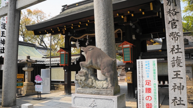 京都護王神社の表門と狛猪
