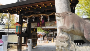 護王神社の表門と狛猪
