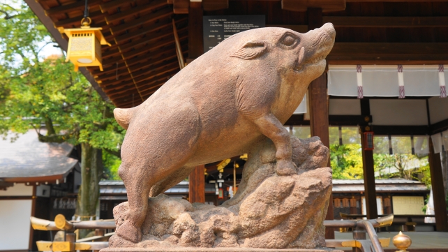 京都護王神社の狛猪
