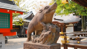 護王神社 狛猪