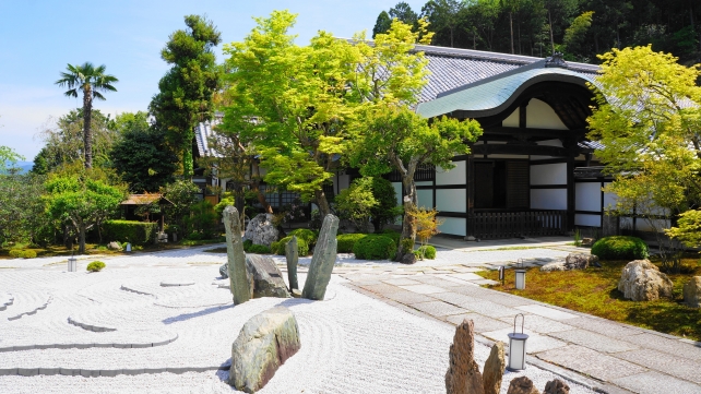 京都圓光寺の石庭の奔龍庭と美しい新緑