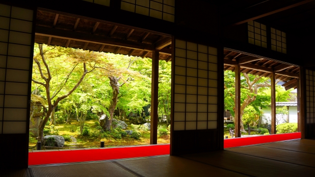 京都洛北の圓光寺の書院からの十牛之庭と新緑