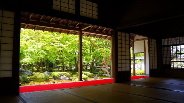 圓光寺の書院からの十牛之庭と見事な青紅葉
